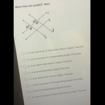 Which lines are parallel? Why?-example-1