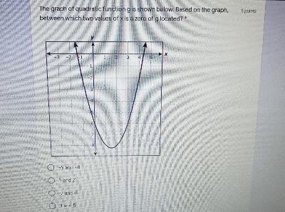 5 points The graph of quadratic function g is shown below. Based on the graph. between-example-1