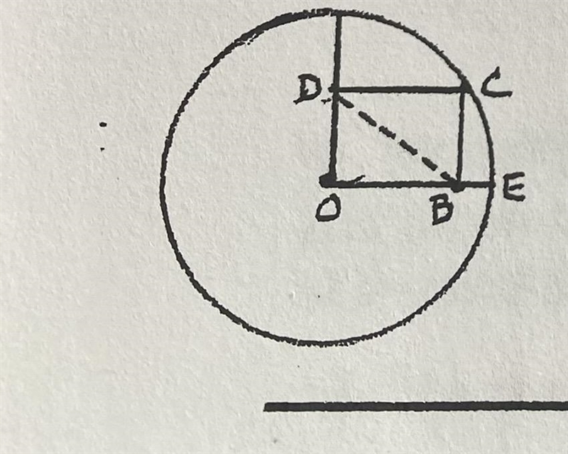 Find the area of circle o if DCBO is a rectangle and DB measure 10 units-example-1