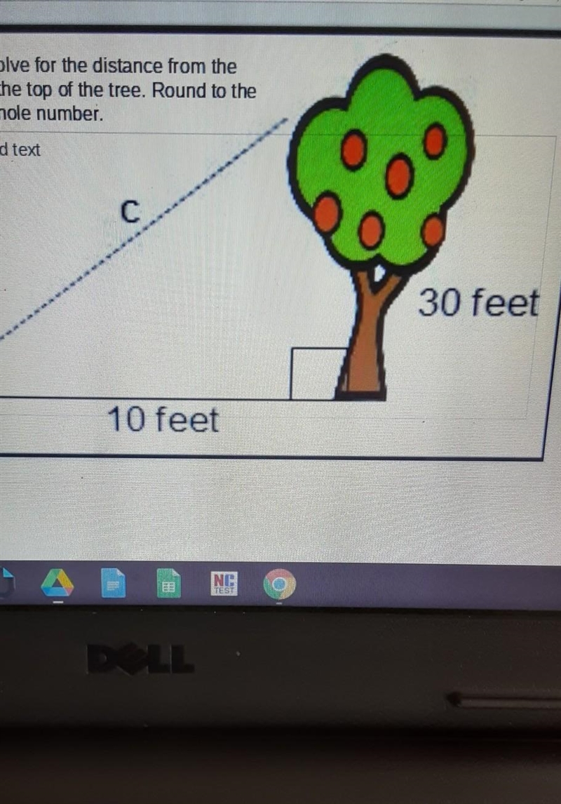 The distance from the person to the top of the tree round to the nearest whole number-example-1