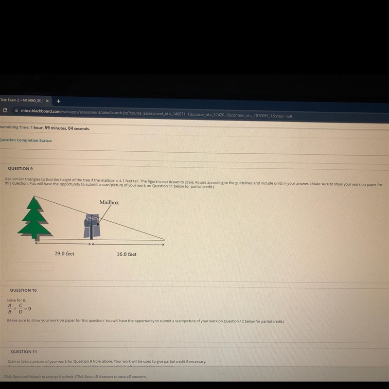 Only question 9. Use similar triangles to find the height of the tree if the mailbox-example-1