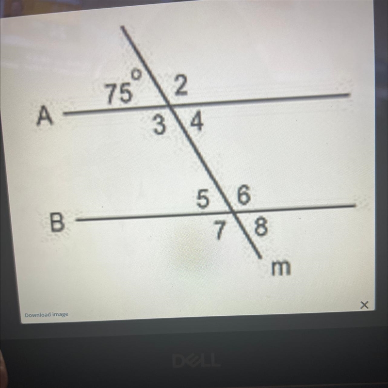 Looking at this picture, tell me what the measue of angles 6, 7 and 8-example-1