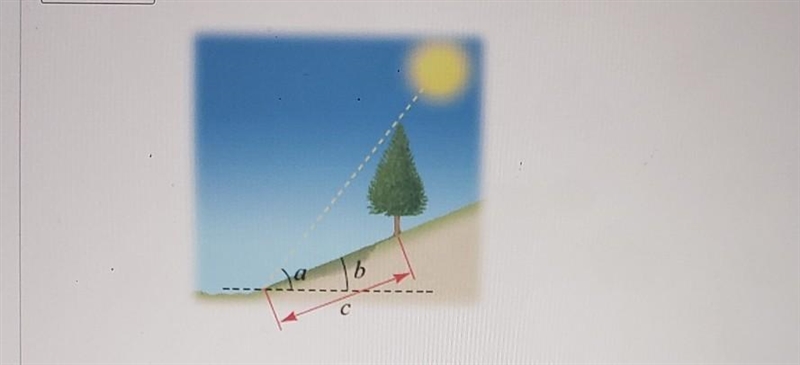 A tree on a hillside casts a shadow c = 230 ft down the hill. If the angle of Inclination-example-1