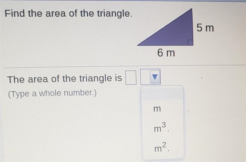 Find the area of the triangle. 5 m 6 m The area of the triangle is-example-1