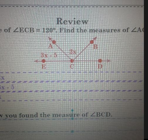 Review The measure of m-example-1