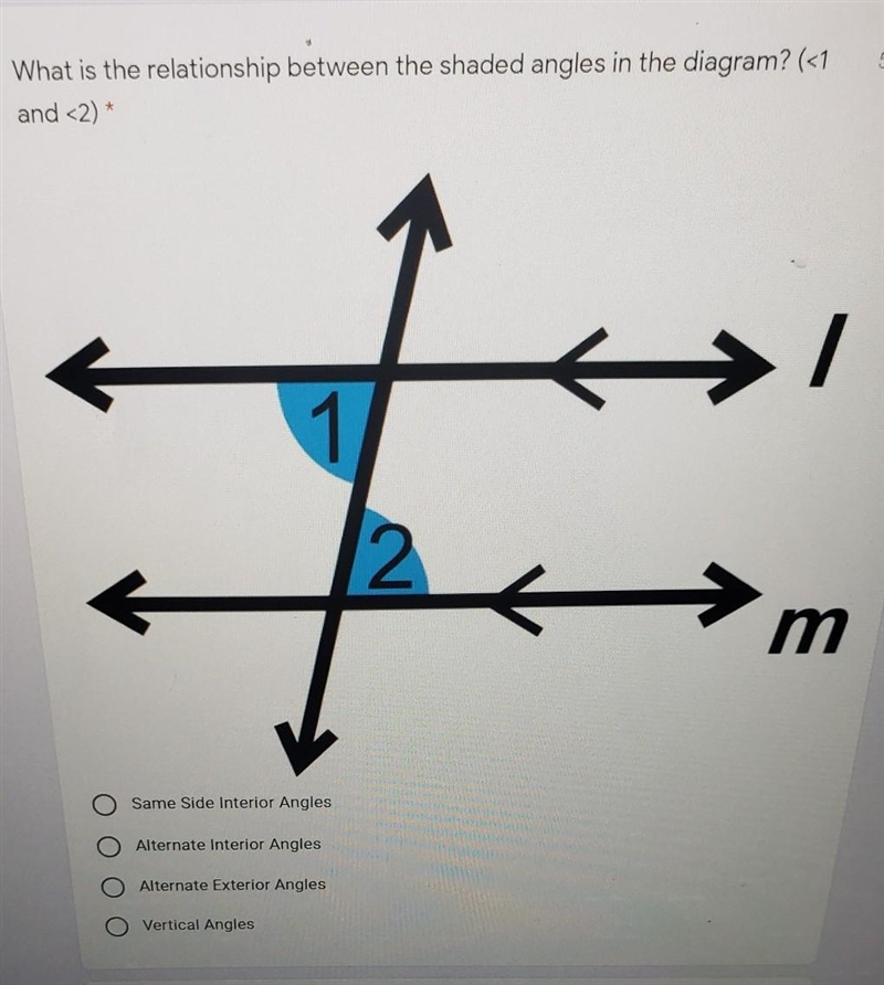 What is the relationship between the Shaded angles in the diagram? (<1 and &lt-example-1