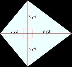 Find the area of the kite. explenation pls-example-1