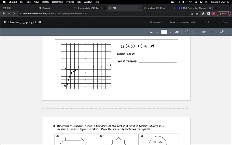 Draw the image of the given figure according to the mapping rule. Describe the mapping-example-1