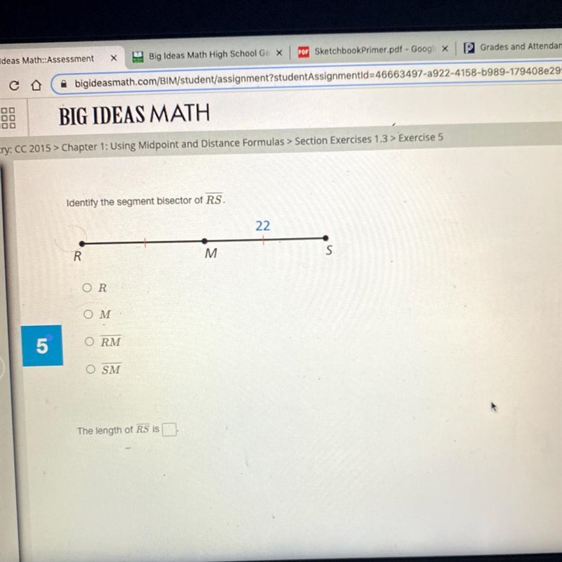 Identify the segment bisector of RS.22RMSOROMORMO SMThe length of RS is-example-1