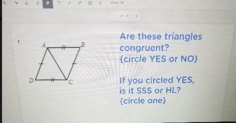 1/5 -> B A Are these triangles congruent? {circle YES or NO} D C С If you circled-example-1