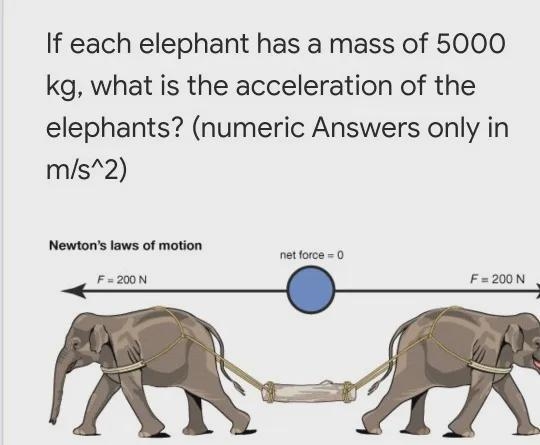 If each elephant has a mass of 5000 kg, what is the acceleration of the elephants-example-1