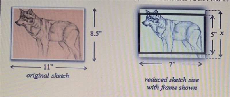 A student sketched some art on an 8.5 inch × 11inch piece of paper. She wants to resize-example-1