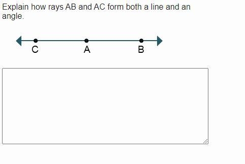 Explain how rays AB and AC form both a line and an angle.-example-1