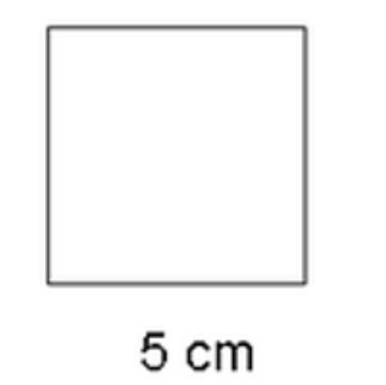 Find the area of the square.10 cm^225 cm^220 cm^25 cm^2-example-1