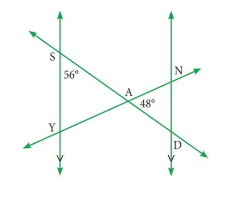 Based on the diagram below, what is the interior measure of ∠Y ?-example-1