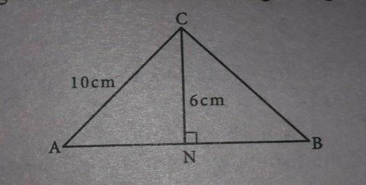 In the figure below, angles ACB and ANC are right-angles. What is the 10cm area of-example-1