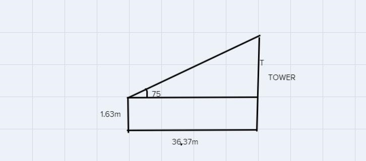 From the base of the tower, you walk 36.37m. From there, you use the clinometer to-example-1