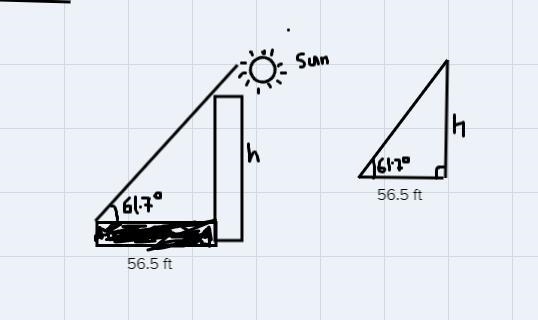 If the angle of elevation of the sun is 61.7° when a building casts a shadow of 56.5 feet-example-1