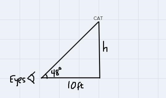 You are standing 10 feet away from a tree. There is a cat up in the tree. Your eyes-example-1