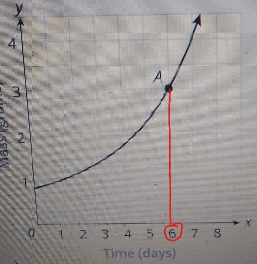 blake thinks that the mass of a baby mouse will increase similar to what is shown-example-1