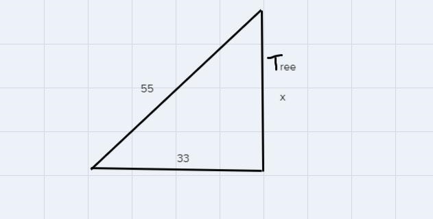 A ladder that is 55 meters in length is resting on a branch of a tree, and the base-example-1