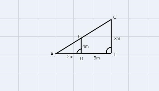 Using the data in the figure, calculate the width x of the river.(word upė means river-example-1