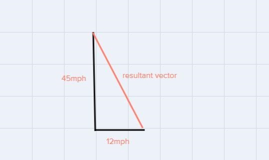 TRIGONOMETRY what is the angle of the birds resultant vector?-example-1