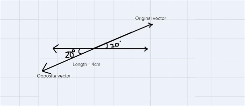 3. Draw the opposite vector of each vector from question #2 (with tail starting from-example-3