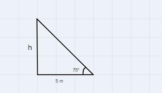 A person stands 5 meters from a building. The angle of elevation to the top of the-example-1