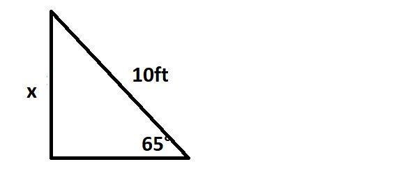 A 10-foot ladder is leaning against a wall, making a 65' with the ground.To the nearest-example-1