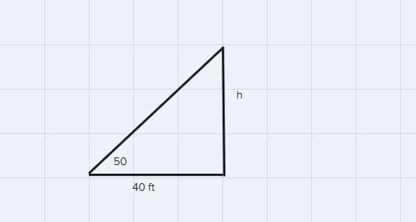 Kasey wants to estimate the height of a tree. Shestarts at the base of the tree and-example-1