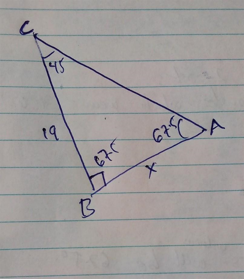 Find the value of x. Round your answer to the nearest tenth. 45° 19 X-example-1