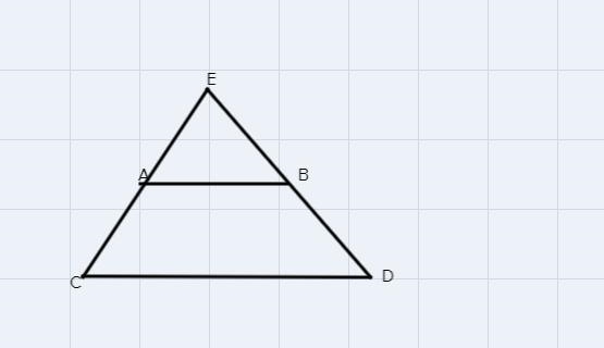 I need a good explanation to what X is not just the answer. I really want to know-example-1