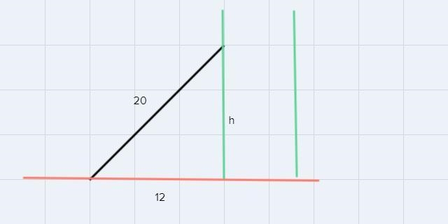 How high up is the branch on which the ladder is resting?-example-1