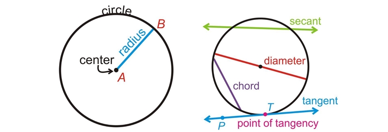 What’s the parts of the circle can you explain everything-example-1