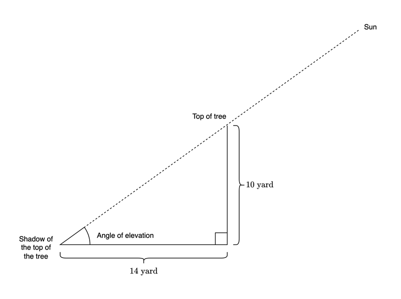 Find the angle of elevation of the sun from the ground to the top of a tree when a-example-1