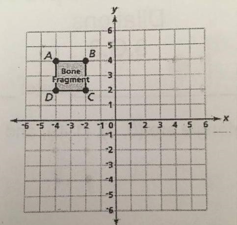 Mathematics, helpPart CNext, the archeologist dilates the new image of the bone fragment-example-1