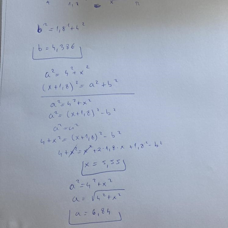 What is the height of the tree?-example-1