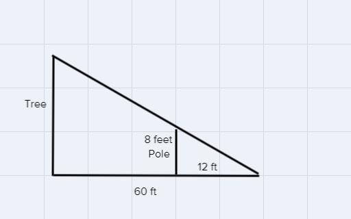 A tree casts a shadow 60 feet long. At the same time, a nearby 8-foot pole casts a-example-1