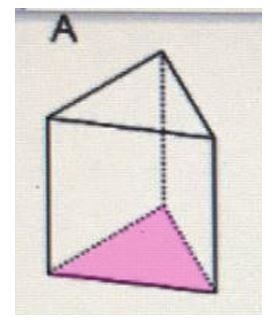 What is the shape of the base of each prism? (The base is not alwaysthe bottom)?A-example-1