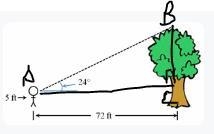 Solve for the height of the tree. Show your work and explain the steps you used to-example-1