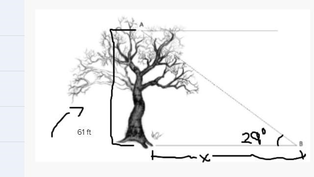 From the diagram below, if the tree is 61 ft. tall, and the angle of elevation from-example-1