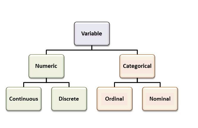 Identify the type of variable (ie qualitative, quantitative discrete or continuous-example-1