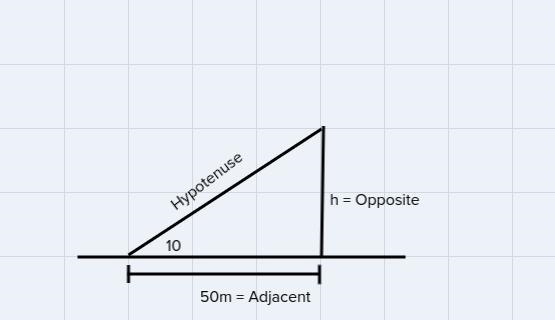 What is the height of the tree? Round answer to the nearest tenth-example-1