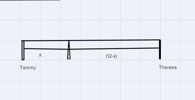 tammy and Theresa are at the park. if tammy weighs 120lbs and Theresa weighs 60lbs-example-1