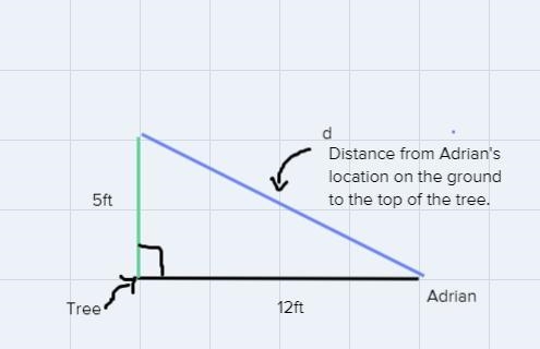 7. Adrian is standing on the ground 12 ft from the base of a tree that is 5 feet tall-example-1