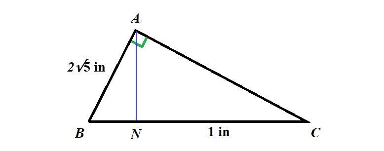 In right ABC, AN is the altitude to the hypotenuse. FindBN, AN, and AC,if AB =2 5 in-example-1