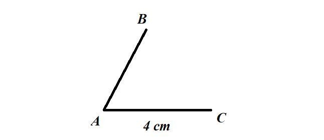 How can I draw triangle abc in which Ac =4cm?-example-2