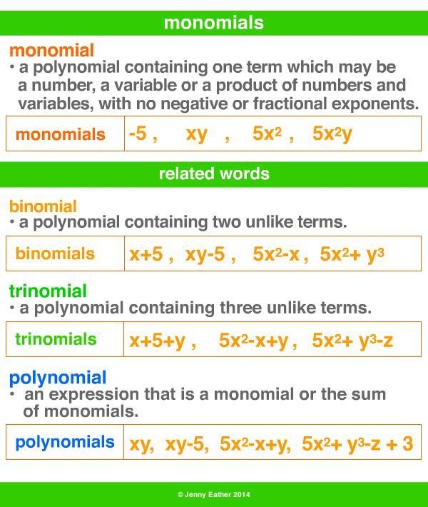 Which of the following is a monomial?-example-1