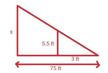 Mrs. Krauss is 5 feet 6 inches tall. She notices that her shadow is 3 feet long and-example-1